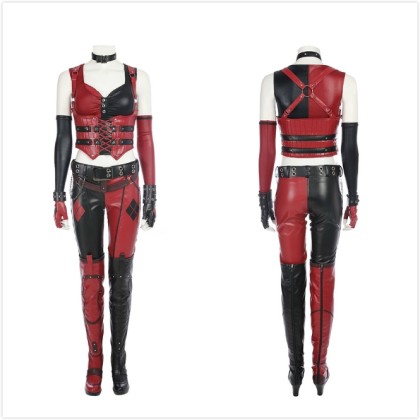 Batman: Arkham City Harley Quinn Cosplay Costume