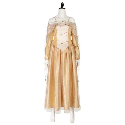 Padme Gold Gown Set