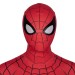 Spider Man Far From Home Spider Man Cosplay Costume