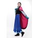 Ice Princess Anna Princess cosplay costume