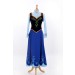 Ice Princess Anna Princess cosplay costume