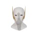 The Flash  Auguste/Godspeed cosplay costume