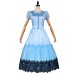 Alice Blue Dress