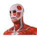 Men Hood Attached