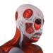 Men Hood Attached
