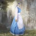 Belle Blue Dress Set