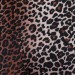 Ruby Rhod Jumpsuit Set