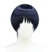 Wanderer Wig