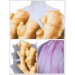 Funny Party Ginger Garlic