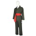 Li Fong Kung Fu Set