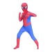 Amazing Spider-Man