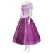 Rapunzel Purple Princess Dress