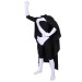 Suit With Cape
