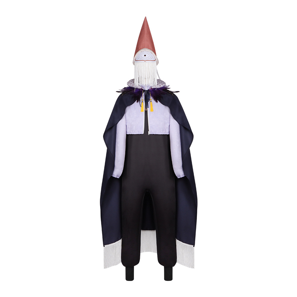 Iguin brimmed cap wizard